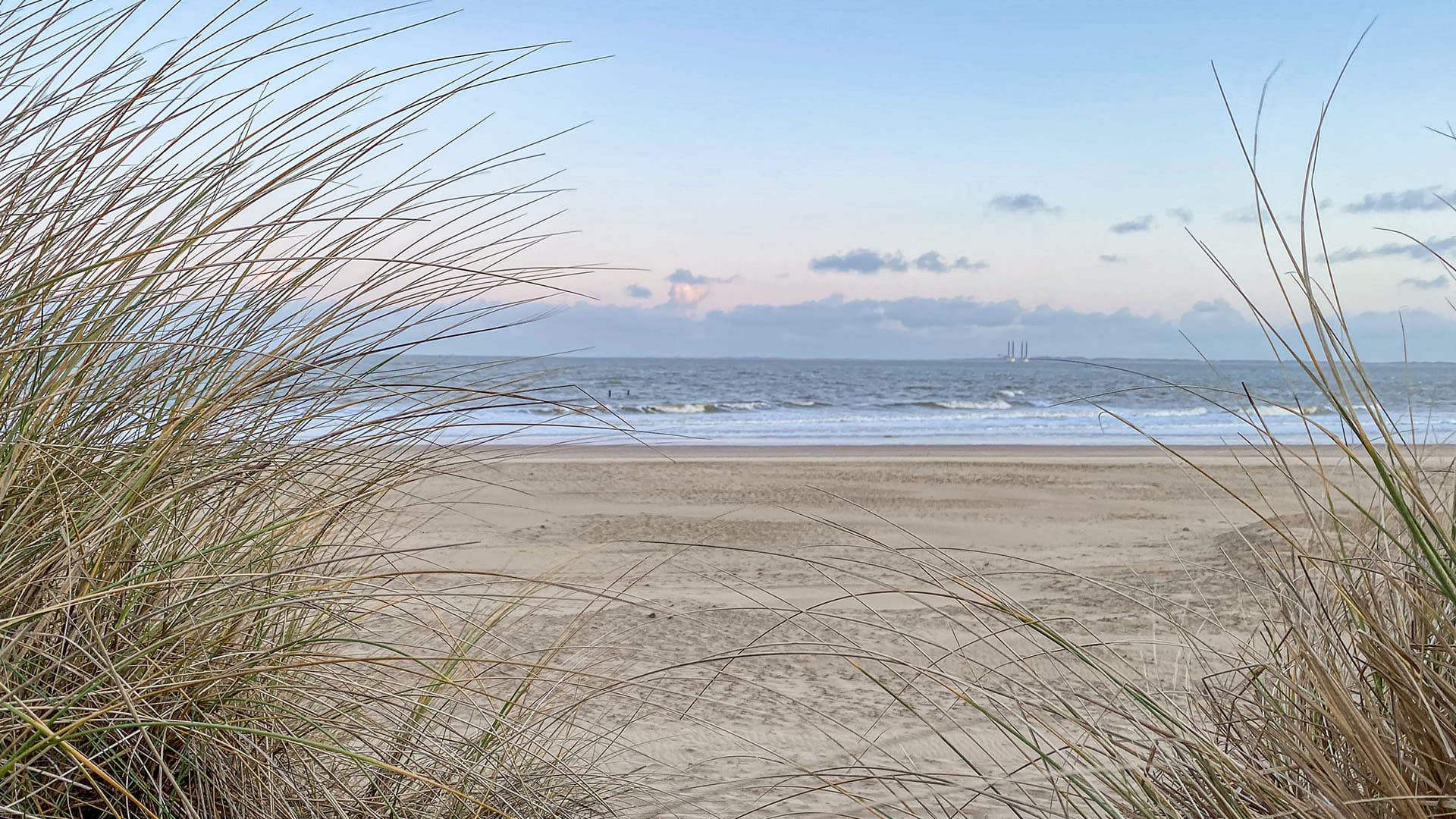 Traumasensibles Coaching