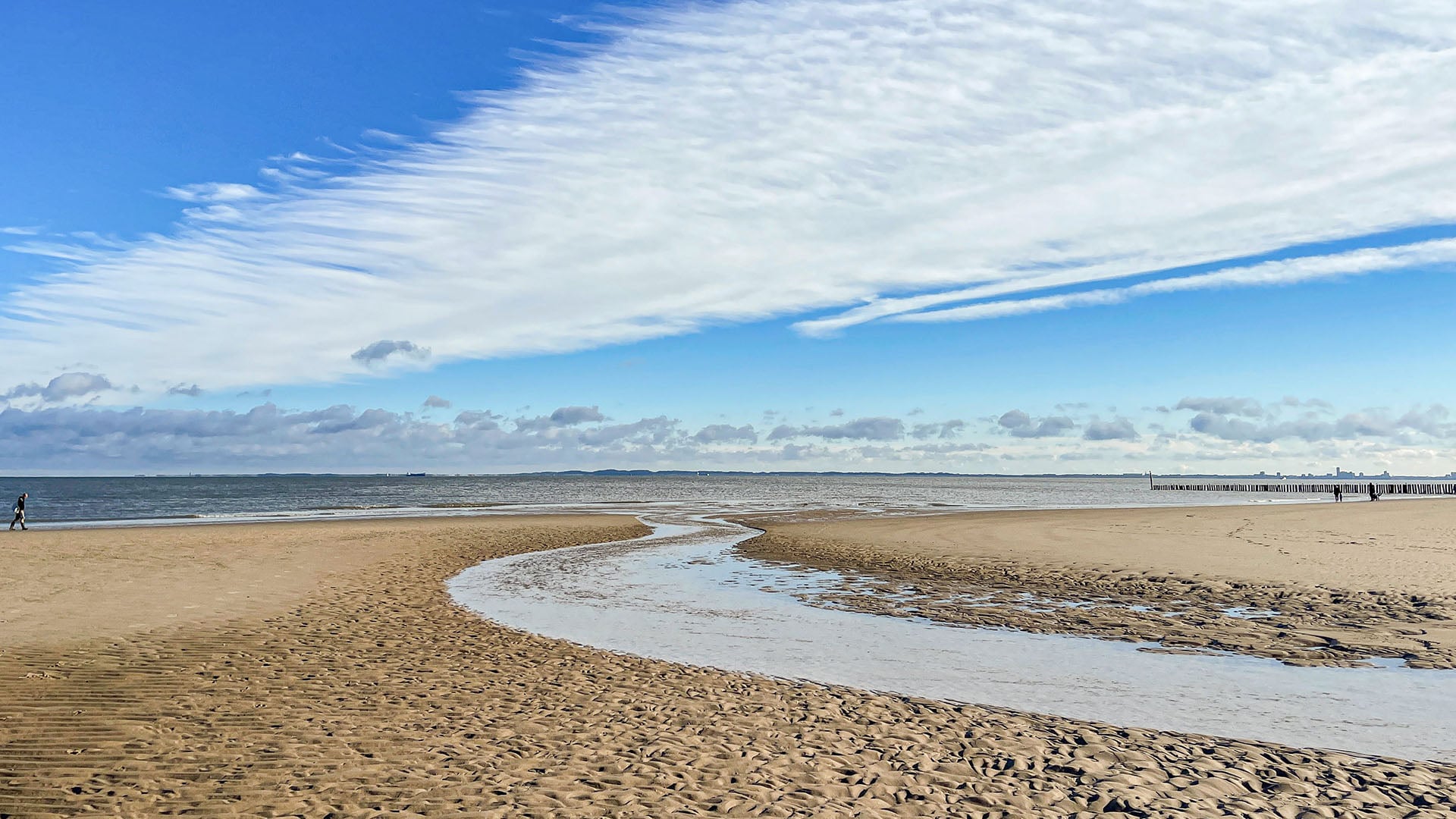 Traumasensibles Coaching – FreyMuT Academy