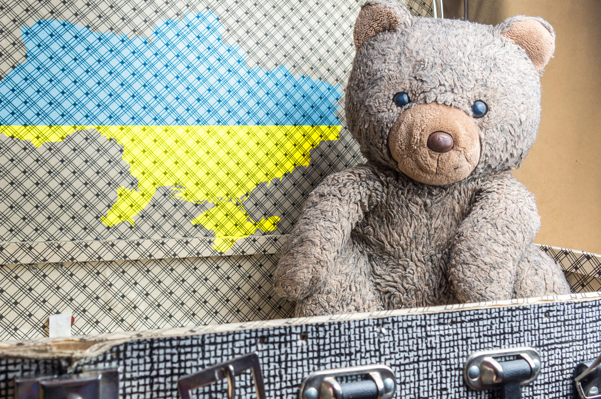 Teddybär sitzt in einem Koffer