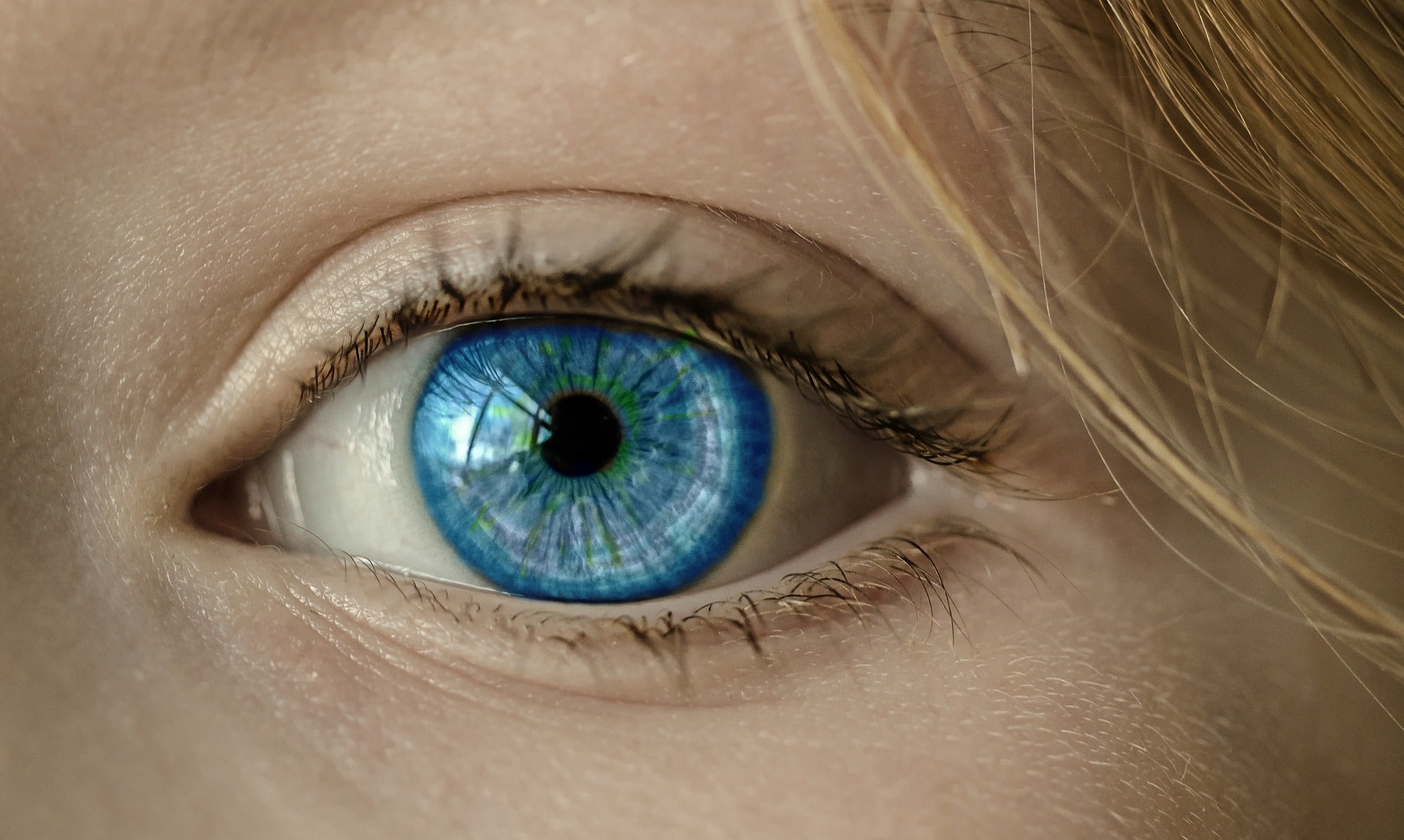 FreyMuT EMDR Fortbildung, Closeup Auge blau